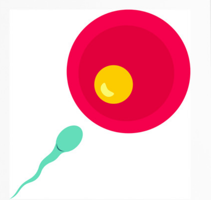 西安代孕助孕免费咨询,西安哪些医院可以做供卵试管试管婴儿？附上西安供卵