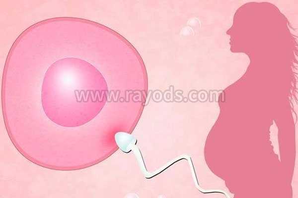 40岁供卵试管婴儿_代人生子,试管婴儿有哪几种移植的胚胎？哪种成功率最高?