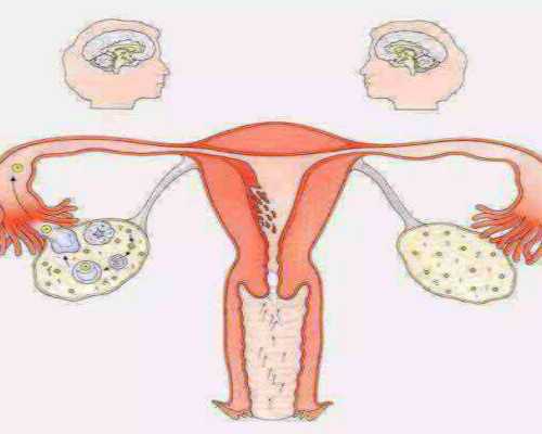 秋季小孩传染疾病预防