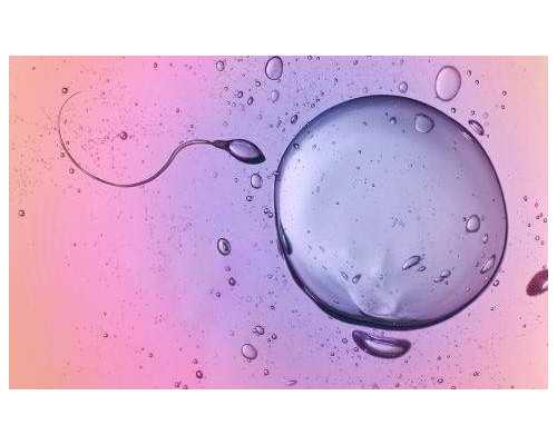 西安代怀套餐最低价钱,西安私立医院做三代试管婴儿男孩靠谱吗？可以选择双