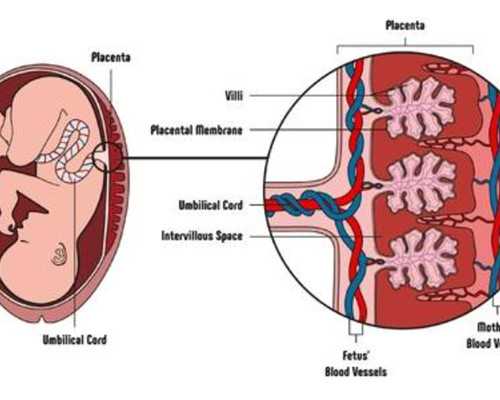 西安找人代生孩,西安做试管的有那家医院,西安这些机构排队可做
