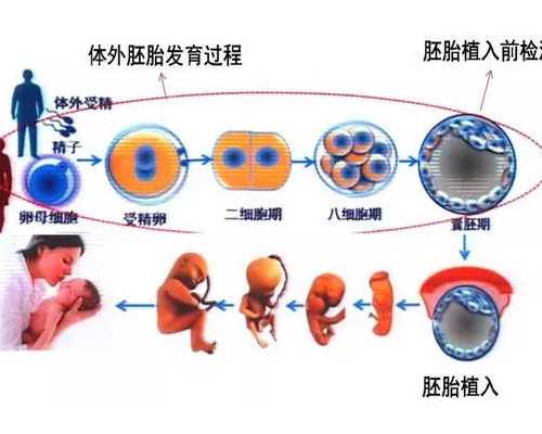 试管移植血沉高会影响吗？这几个要素给你答案，那么就都会影响试管的移植