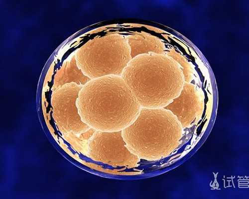 西安靠谱代孕案例,西安精子库人工受精多少钱,国外精子库申请精子多少钱