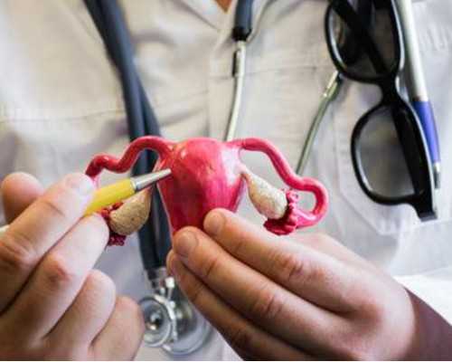 35岁大龄+男方严重弱畸精症，备孕二胎上岸 代孕生宝宝公司