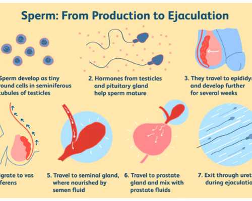 西安代生哪里优惠,日本做试管婴儿需要结婚证吗?-试管双胞胎移植后16天后怎