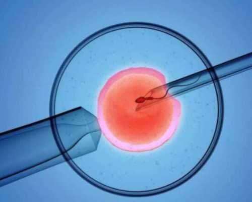 西安代怀小孩,西安供卵试管包出生，西安正规供卵医院