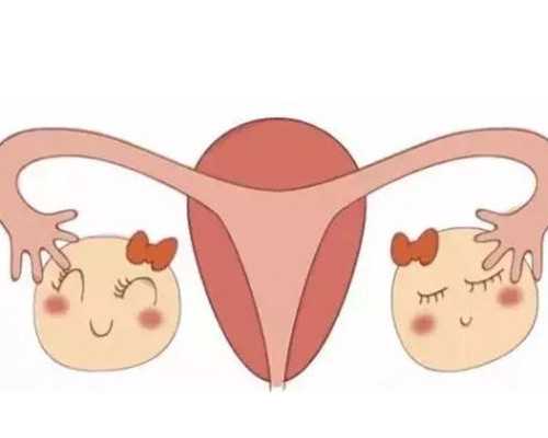 40岁供卵试管婴儿_代人生子,做试管婴儿女方要去医院多少次?_b超检查几个月看