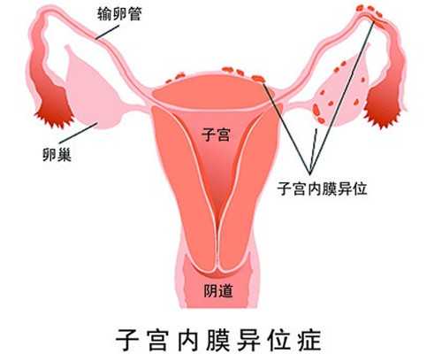 西安捐卵代怀价格,唐都医院试管婴儿官网,西安唐都医院试管婴儿费用明细