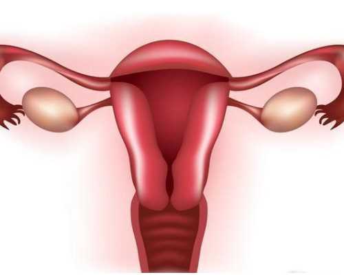 西安失独家庭助孕,西安试管中介大全,西安试管婴儿助孕中心！