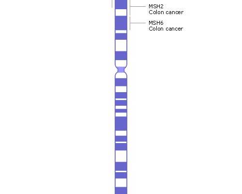 西安代孕价格详细说明,西安私立医院做试管选性别多少钱-正规试管供卵中介
