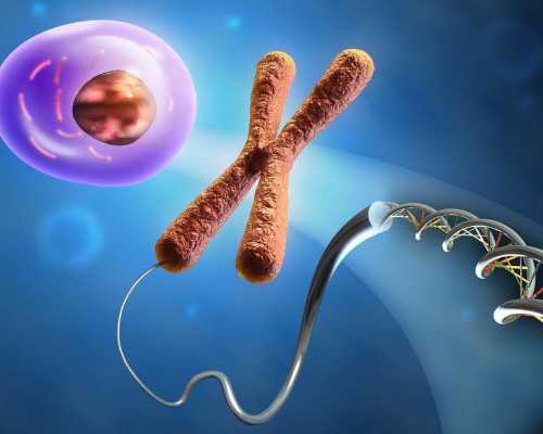 西安代生价格明细,腺肌症试管总是不着床怎么办-正常受精卵到达子宫后着床率