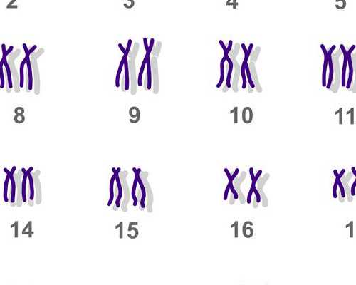 西安正规代孕哪家好,49岁的女人还可以做试管婴儿吗？-试管移植后能吃墨鱼吗