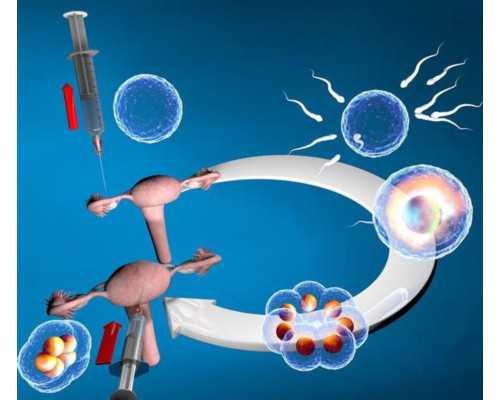 西安供卵借卵医院,西安比较好的生殖医院有哪些，附西安生子成功率