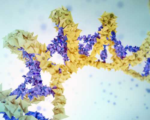 西安湘雅医院代孕公司,泰国试管婴儿一次就成功的机会大不大？-南京供卵助孕