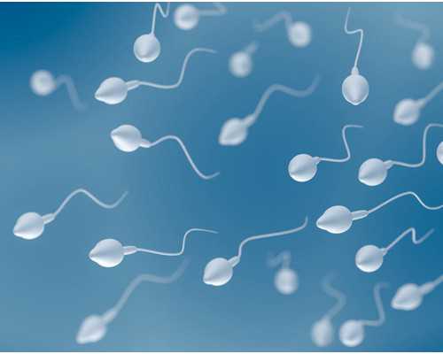 A89国际助孕_代妈交流群,无精症也能试管成功怀孕?不信你看看!-供卵试管合同