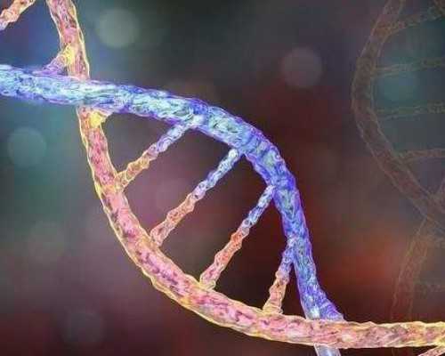 西安专业试管代怀,2025年西安唐都医院供卵试管手术申请流程是怎样的?