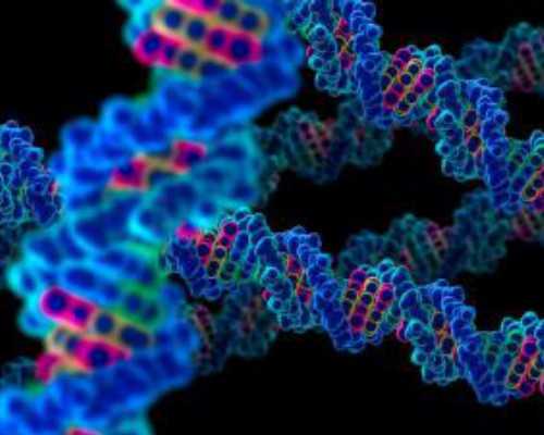 西安供卵试管哪家好,西安试管三代哪里做得好-西安三代试管的成功率