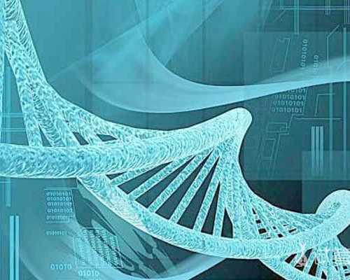 西安代生多少费用,西安三代试管能*成功吗，详细的费用一文带你了解