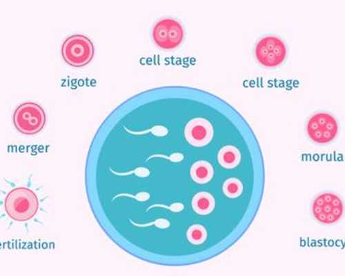2024年代孕价格_55岁借卵自怀,使用供精做试管的费用是多少？附费用明细情况