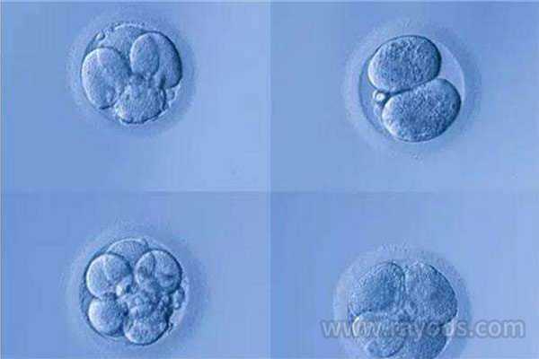 靠谱的供卵中心_金贝供卵口碑_囊胚培养，做试管婴儿我们是否需要养囊？