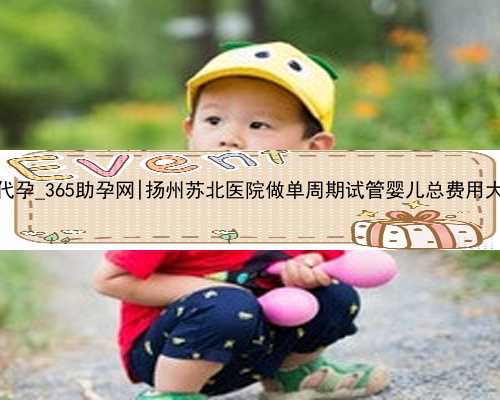 2022合法代孕_365助孕网|扬州苏北医院做单周期试管婴儿总费用大概多少？
